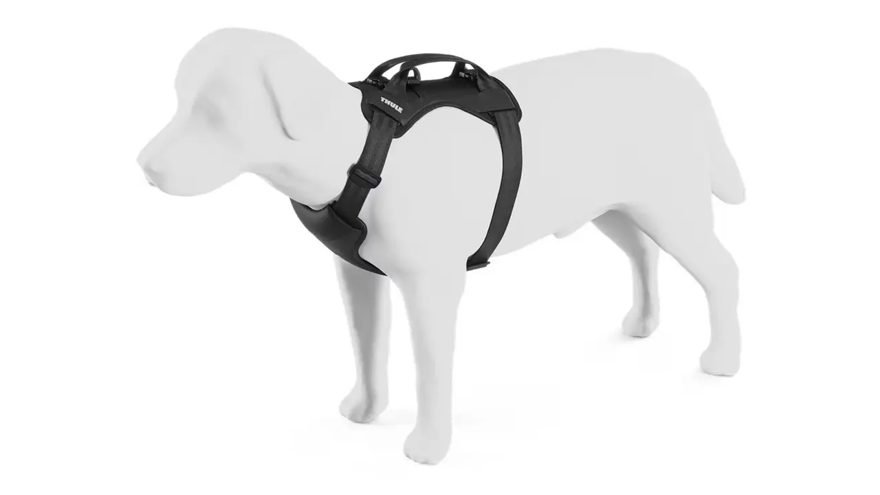 Thule Cappy arnés para perro Large