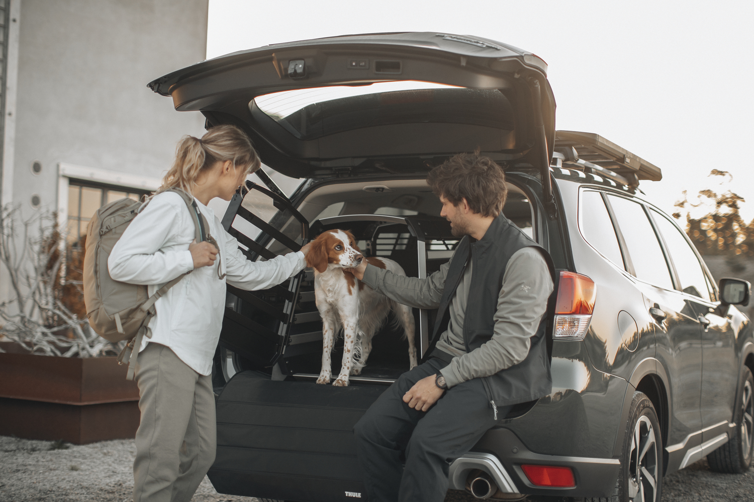 Accesorios para viajar con mascotas: guía esencial para aventuras seguras en 2026